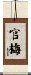 官梅 Scroll