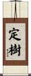 定樹 Scroll