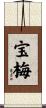 宝梅 Scroll