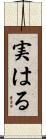 実はる Scroll