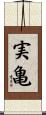 実亀 Scroll