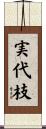 実代枝 Scroll
