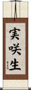 実咲生 Scroll