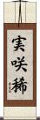 実咲稀 Scroll