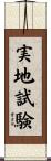 実地試験 Scroll