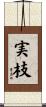 実枝 Scroll