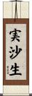 実沙生 Scroll
