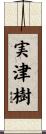 実津樹 Scroll