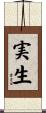 実生 Scroll