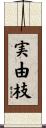 実由枝 Scroll
