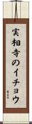実相寺のイチョウ Scroll