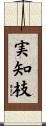 実知枝 Scroll