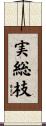 実総枝 Scroll