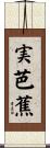 実芭蕉 Scroll
