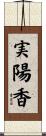実陽香 Scroll