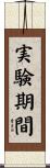 実験期間 Scroll