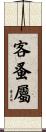 客蚤屬 Scroll