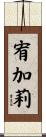 宥加莉 Scroll