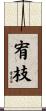 宥枝 Scroll