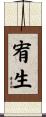 宥生 Scroll