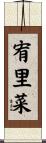 宥里菜 Scroll