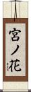 宮ノ花 Scroll