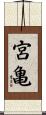 宮亀 Scroll