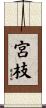 宮枝 Scroll