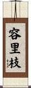 容里枝 Scroll