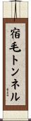 宿毛トンネル Scroll