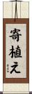 寄植え Scroll