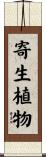 寄生植物 Scroll