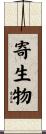 寄生物 Scroll