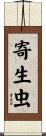 寄生虫 Scroll