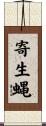 寄生蝿 Scroll