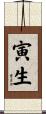 寅生 Scroll