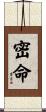 密命 Scroll