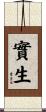 實生 Scroll
