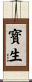 寳生 Scroll