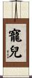 寵兒 Scroll