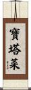 寶塔菜 Scroll