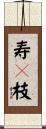 寿々枝 Scroll