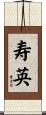 寿英 Scroll