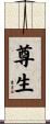尊生 Scroll