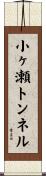 小ヶ瀬トンネル Scroll