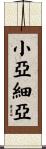 小亞細亞 Scroll