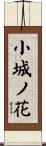 小城ノ花 Scroll