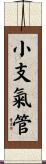 小支氣管 Scroll