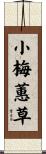 小梅蕙草 Scroll