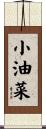 小油菜 Scroll
